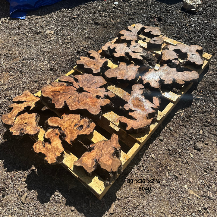 Olive Wood Slices for Dining Table 80"x36"x2 ¼“ 8040