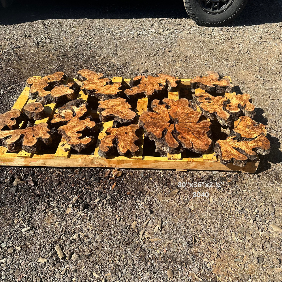 Olive Wood Slices for Dining Table 80"x36"x2 ¼“ 8040