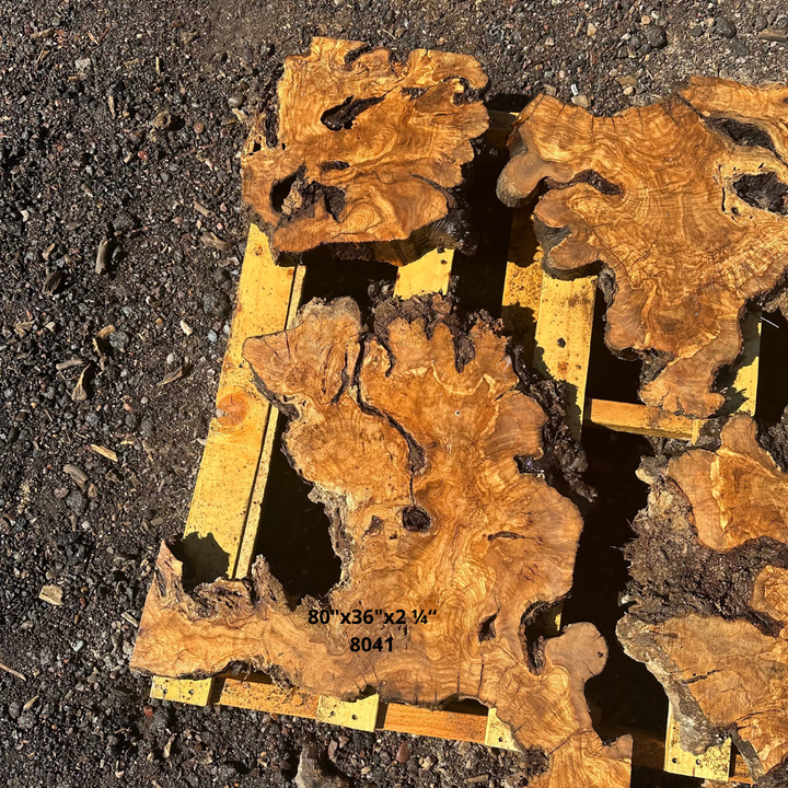 Olive Wood Slices for Dining Table 80"x36"x2 ¼“ 8041