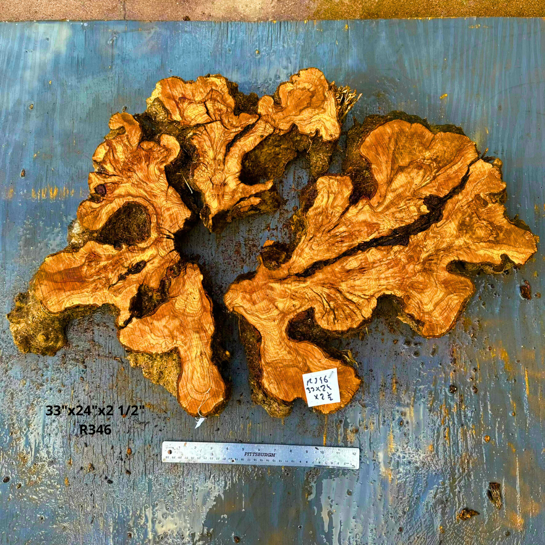 33"x24"x2 1/2" R346