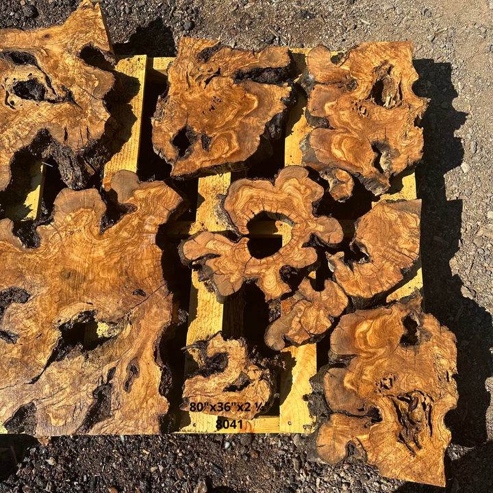 Olive Wood Slices for Dining Table 80"x36"x2 ¼“ 8041