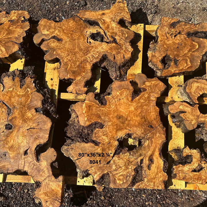 Olive Wood Slices for Dining Table 80"x36"x2 ¼“ 8041