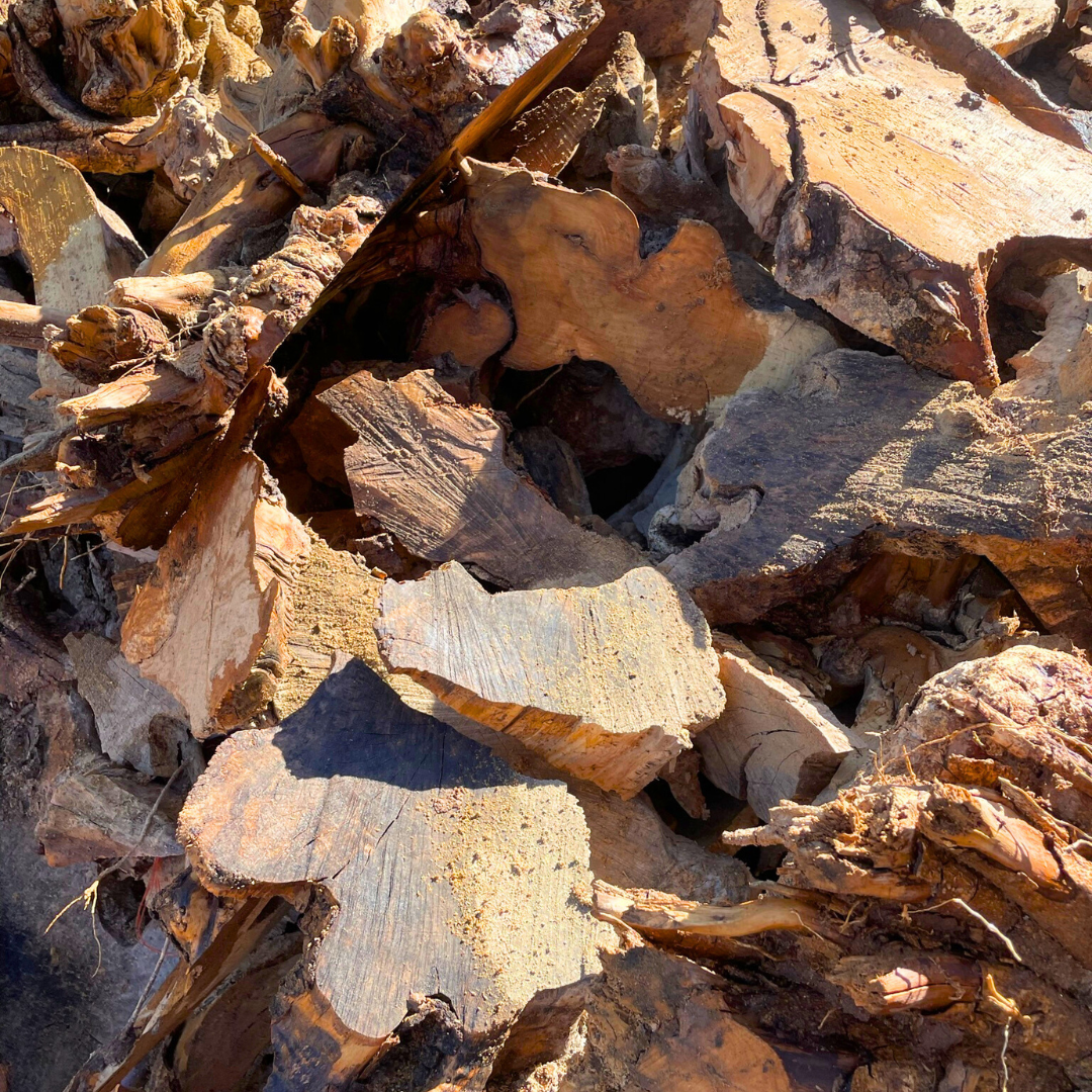 50lb Box of Olive Wood Cut Offs
