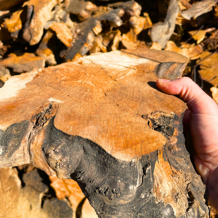 50lb Box of Olive Wood Cut Offs