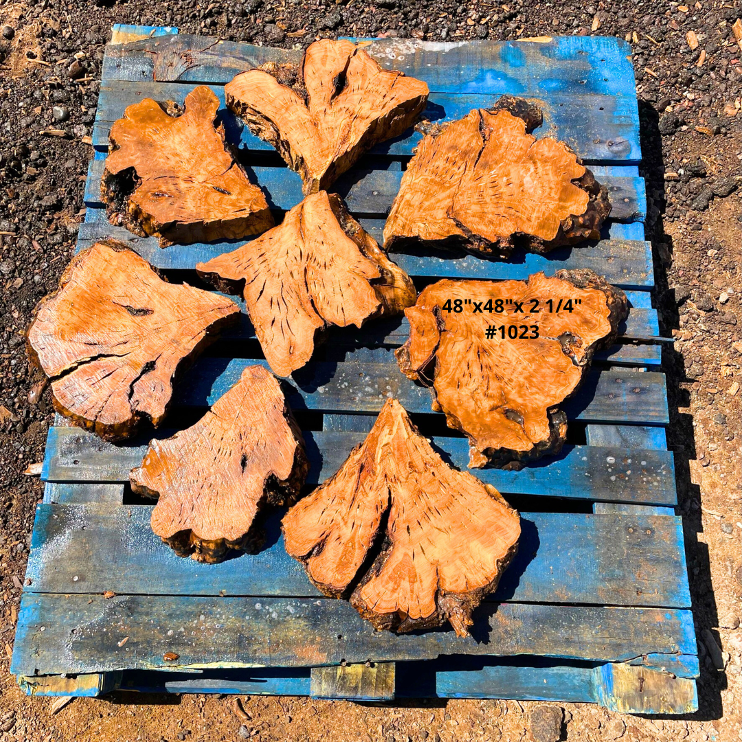 48"x2 1/4" Circular Table Kit