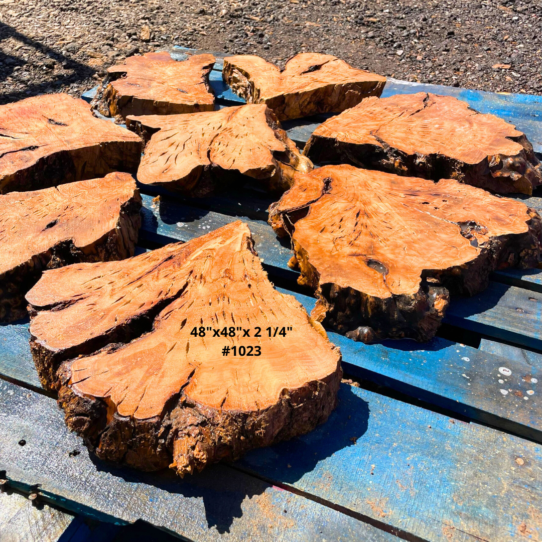 48"x2 1/4" Circular Table Kit