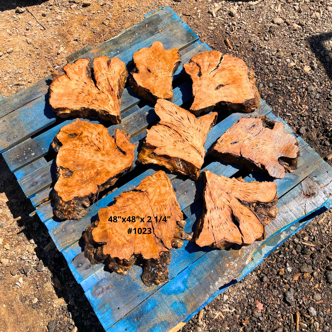 48"x2 1/4" Circular Table Kit