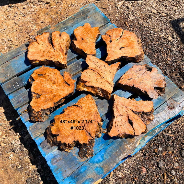 48"x2 1/4" Circular Table Kit