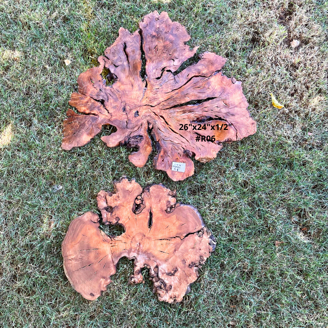 Sets of Thin Olive Wood Slices