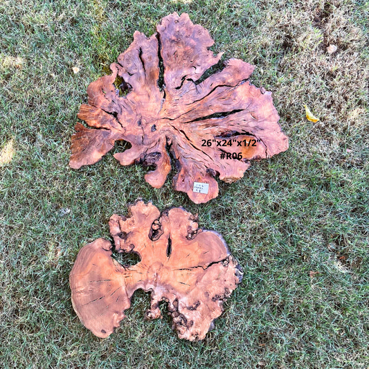 Sets of Thin Olive Wood Slices