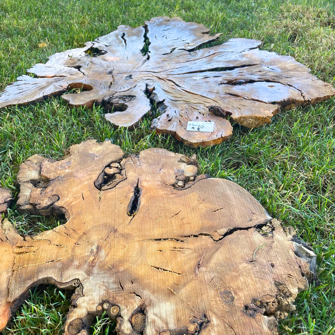 Sets of Thin Olive Wood Slices