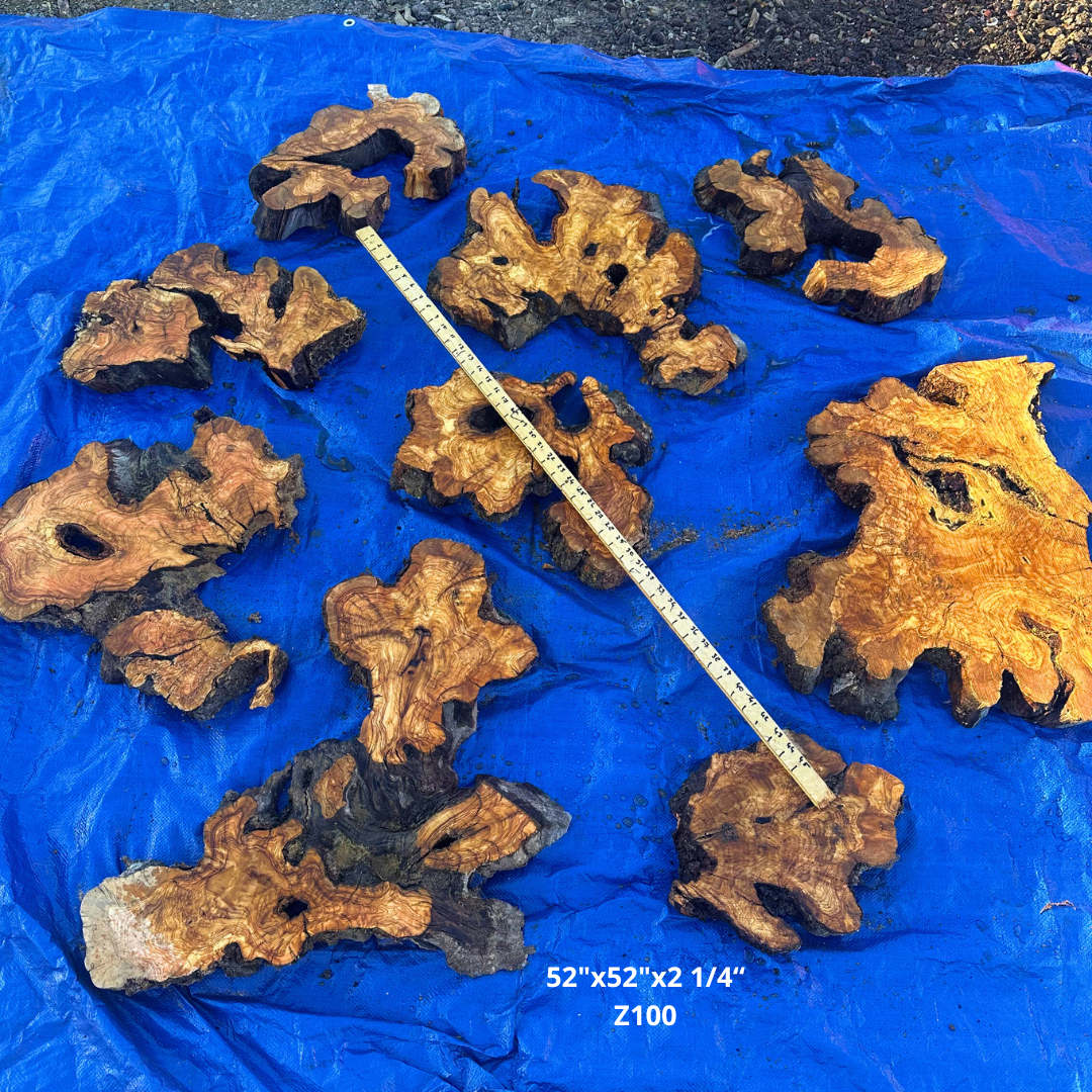 Olive Wood Slices for 48-54" Round Table Z100