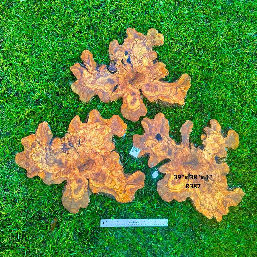 3 Thin Olive Slices with amazing Grain 39"x 38"x 1" R387