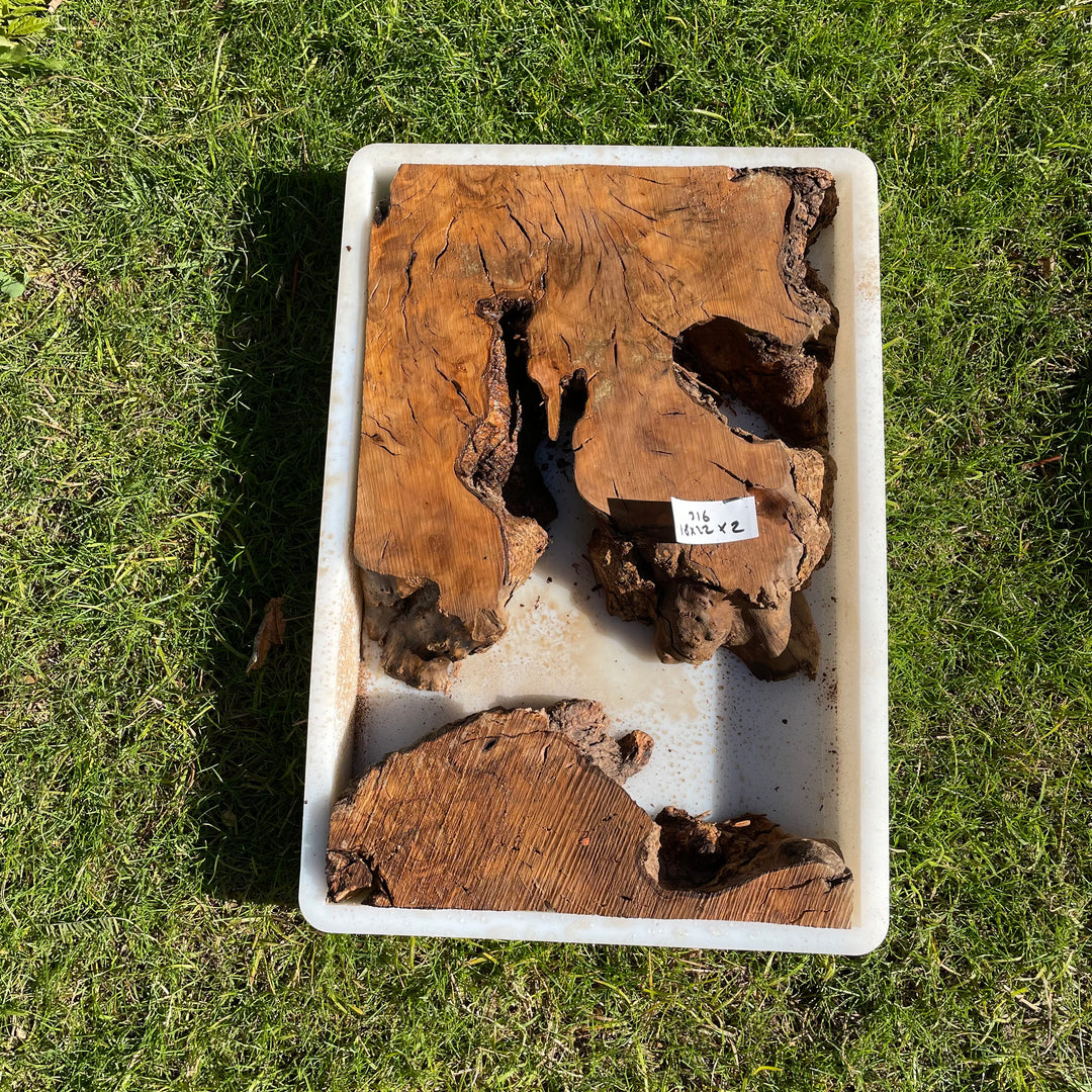 Rectangular Olive Wood Kits with Mold for Live Edge Resin Projects