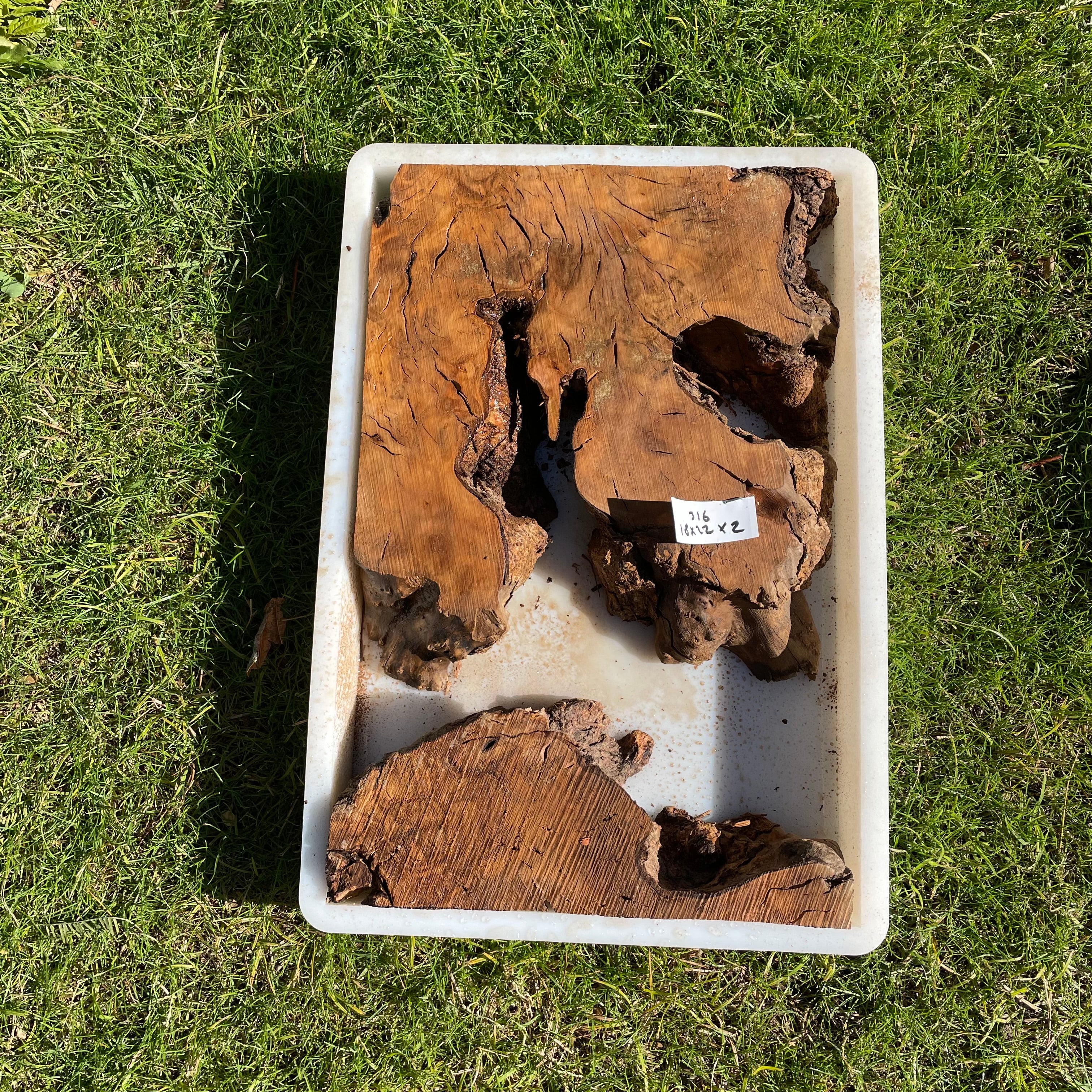 Rectangular Olive Wood Kits with Mold for Live Edge Resin Projects