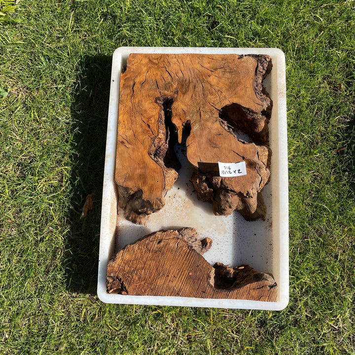 Rectangular Olive Wood Kits with Mold for Live Edge Resin Projects