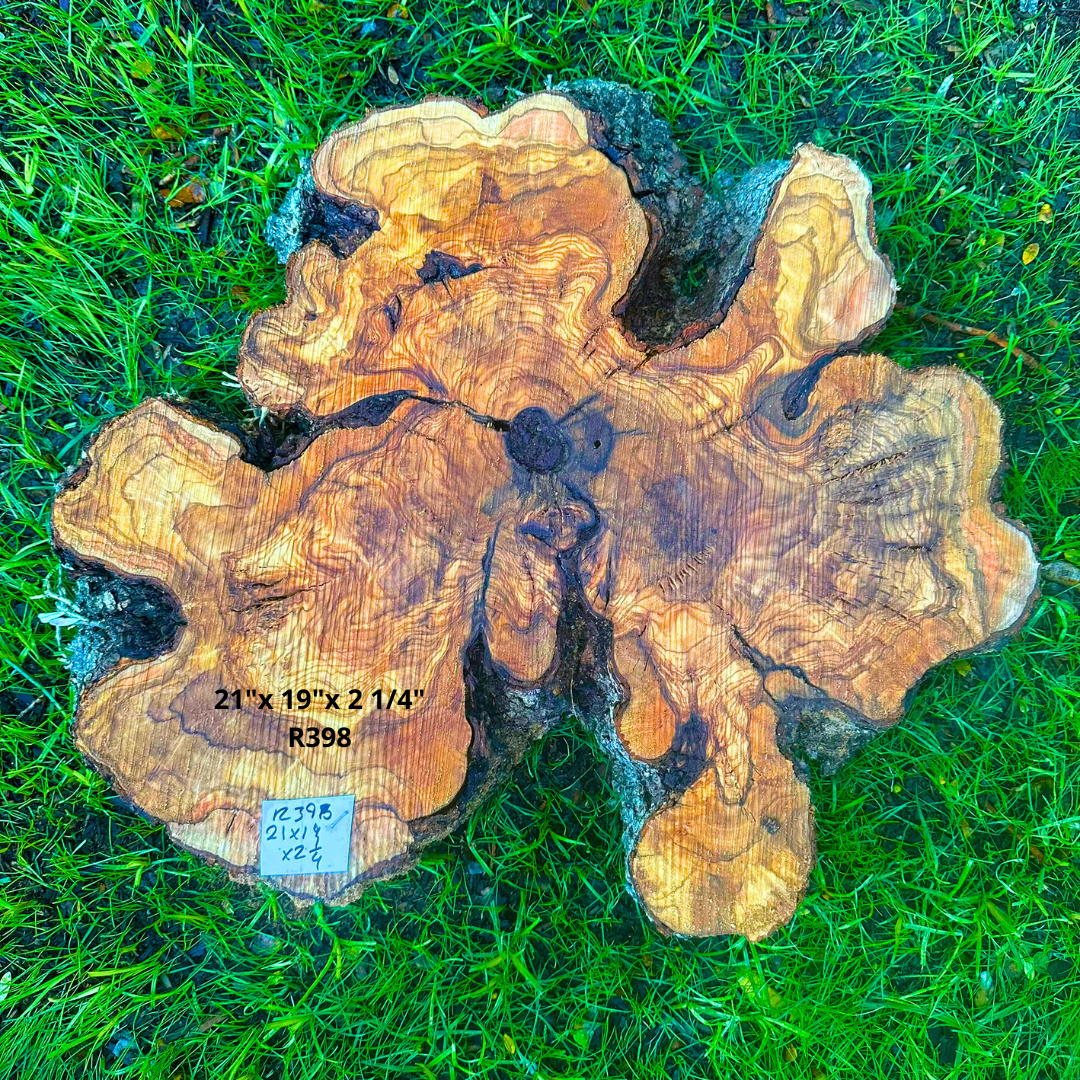 Olive Wood with Amazing Grain 21"x 19"x 2 1/4" R398