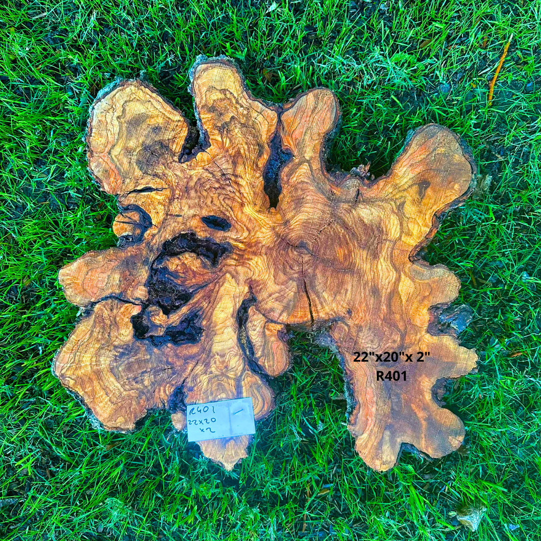 Olive Wood Burl Slab 22"x20"x 2" R401