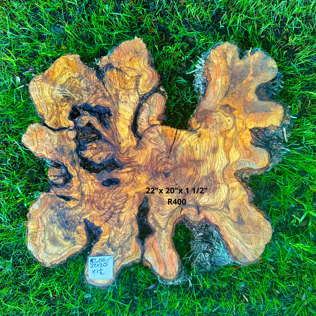 Olive Wood for Woodworking 22"x 20"x 1 1/2" R400