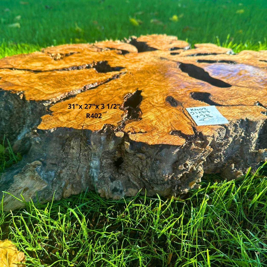 Large Olive Cookie 31"x 27"x 3 1/2" R402