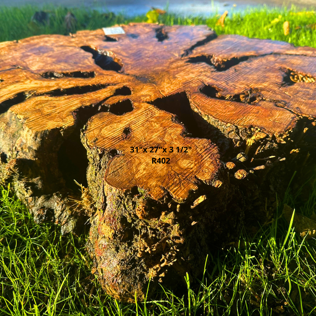 Large Olive Cookie 31"x 27"x 3 1/2" R402