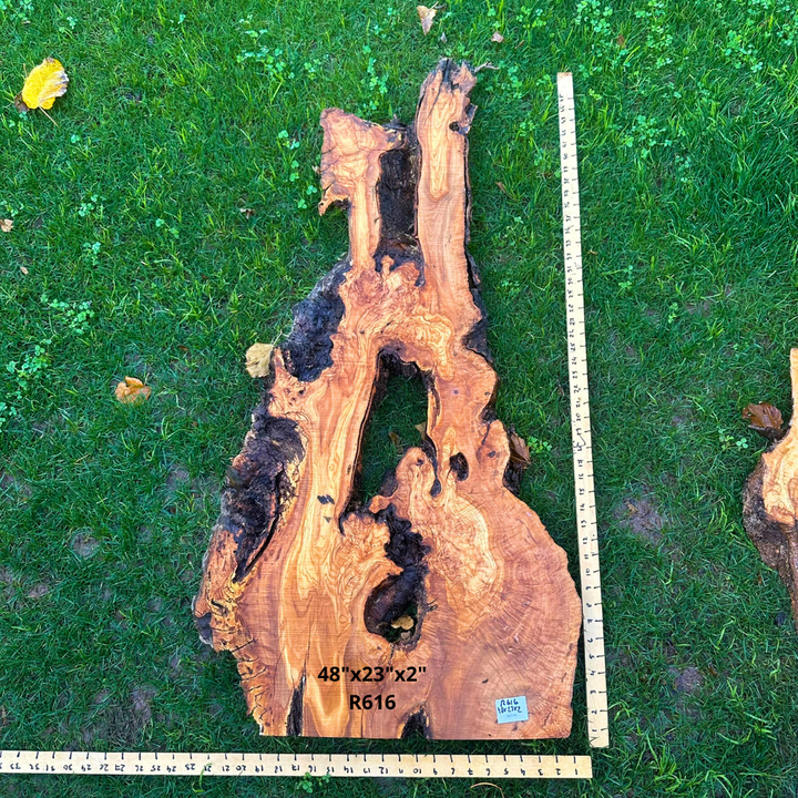 Olive Wood Live Edge Slab 48"x23"x2" R616