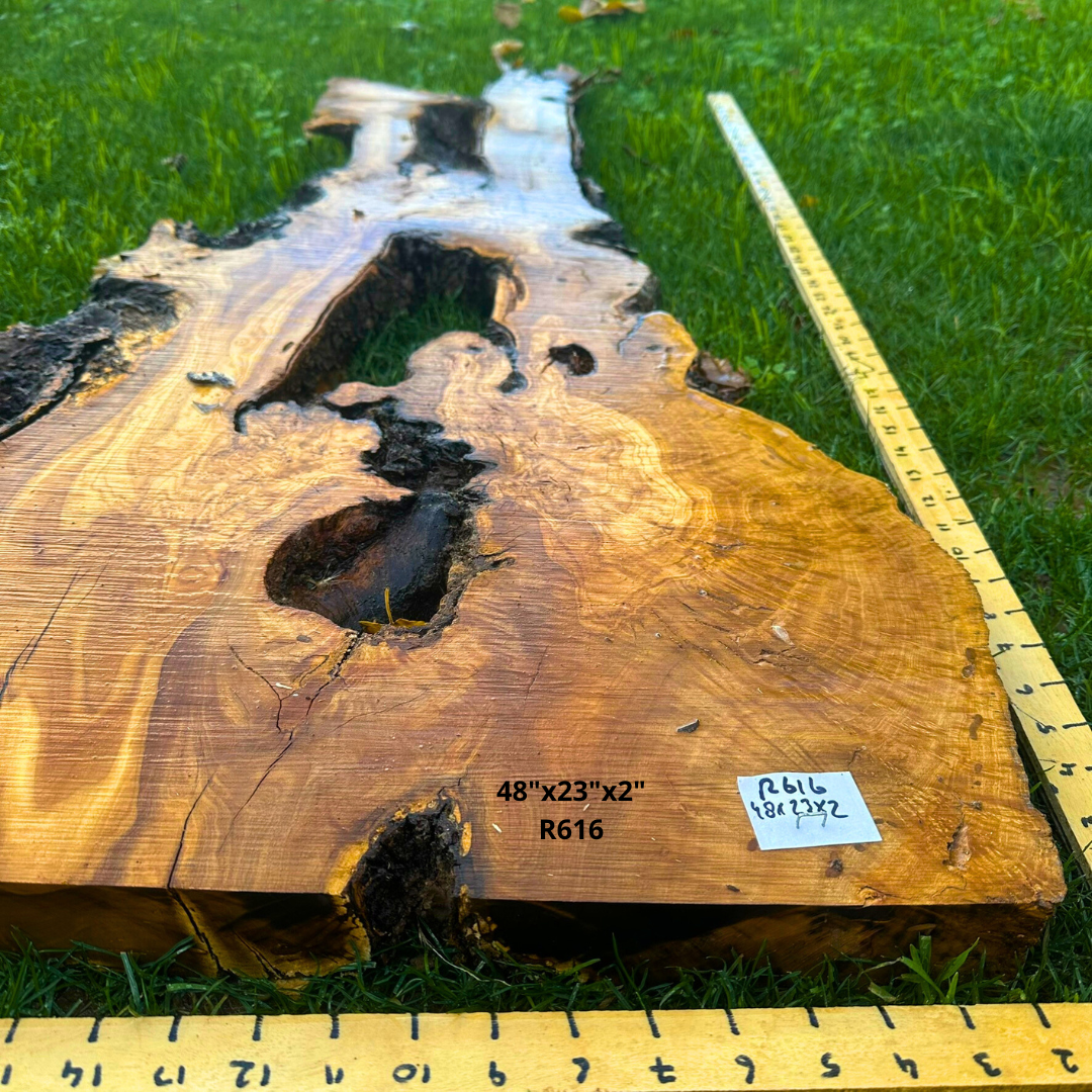 Olive Wood Live Edge Slab 48"x23"x2" R616