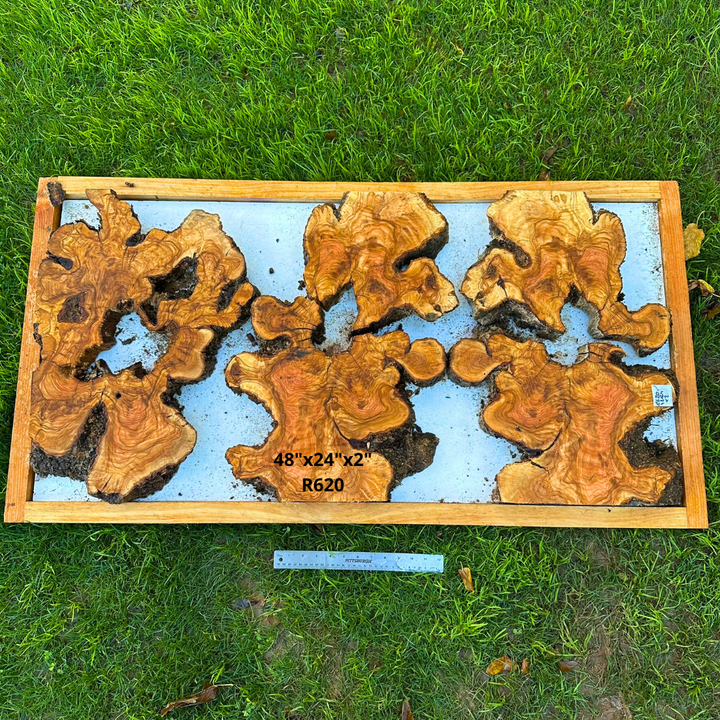 Pre Cut Olive Pieces 48"x24"x2" R620