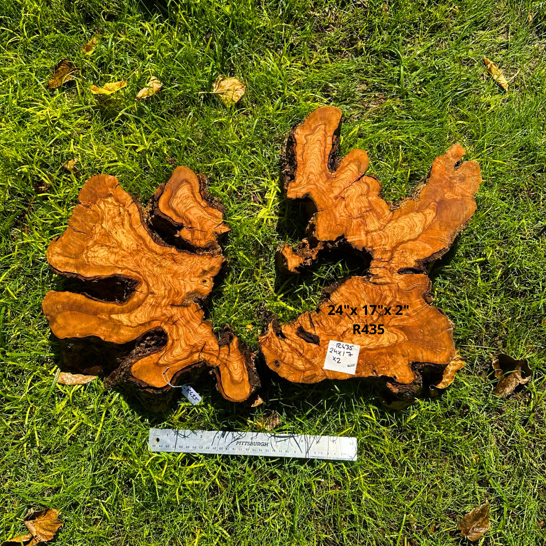 Olive Pieces for Crafting 24"x 17"x 2" R435