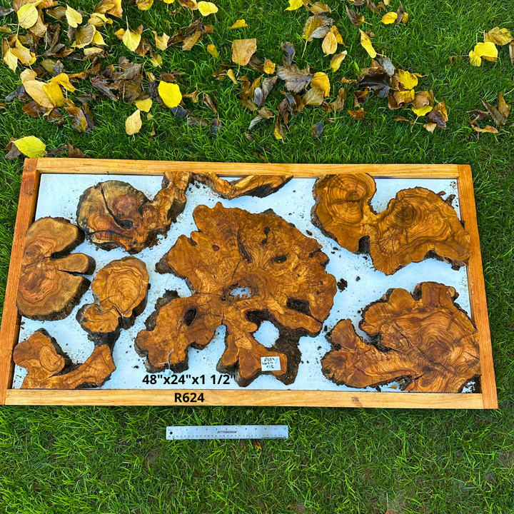 Olive Wood Pieces for Live Edge Table 48"x24"x1 1/2" R624
