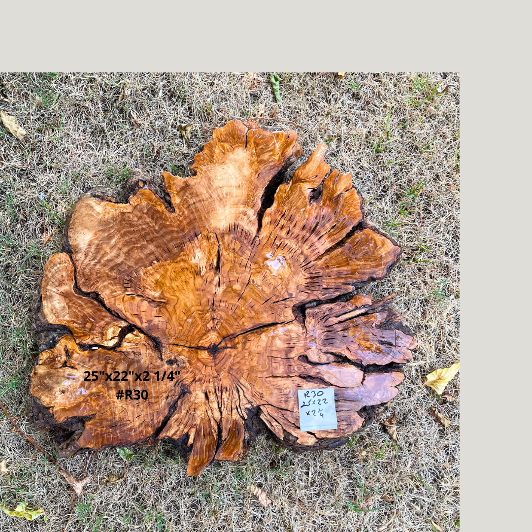 25"x22"x2 1/4" #R30