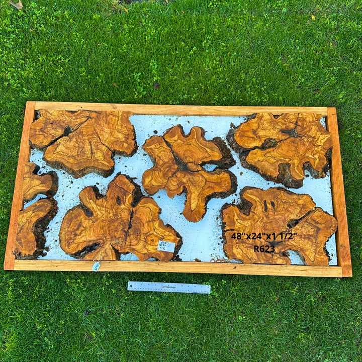 Olive Wood Pieces for Live Edge Table 48"x24"x1 1/2" R623