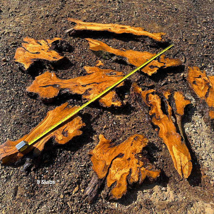 8 Live Edge Olive Wood Slabs