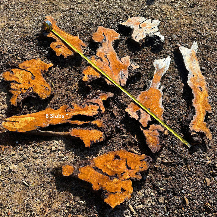8 Live Edge Olive Wood Slabs