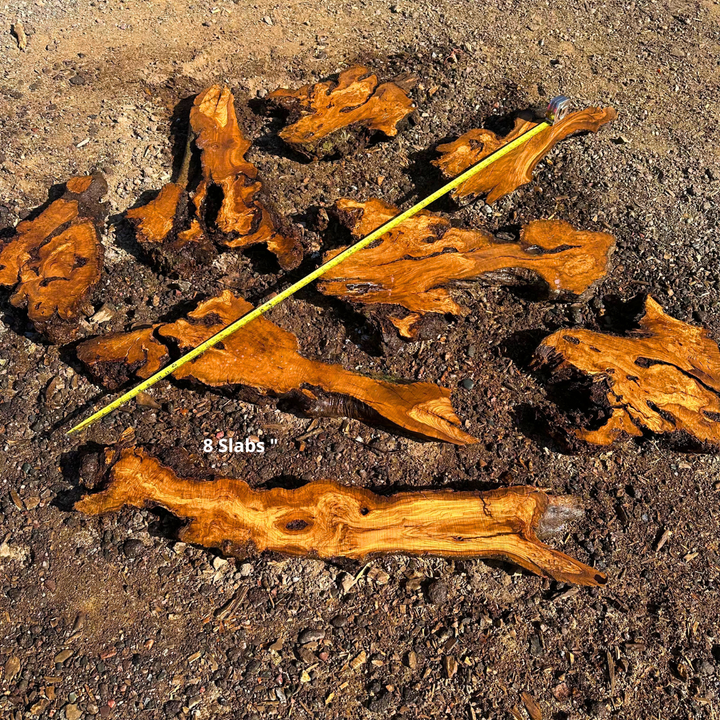 8 Live Edge Olive Wood Slabs