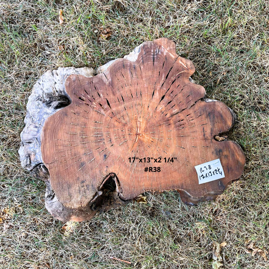 17"x13"x2 1/4" #R38