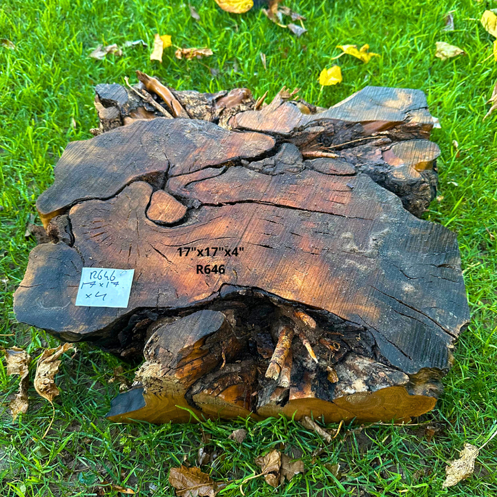 Olive Blank for Turning 17"x17"x4" R646