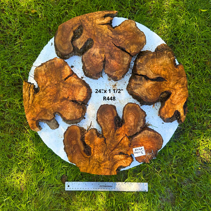 Olive Pieces for Side Table 24"x 1 1/2" R448