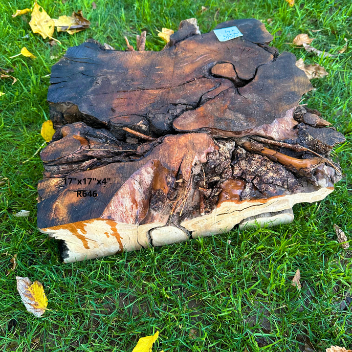 Olive Blank for Turning 17"x17"x4" R646