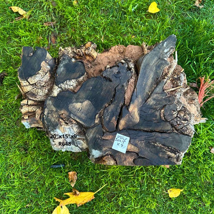 Olive Blank for Turning 20"x15"x9" R648