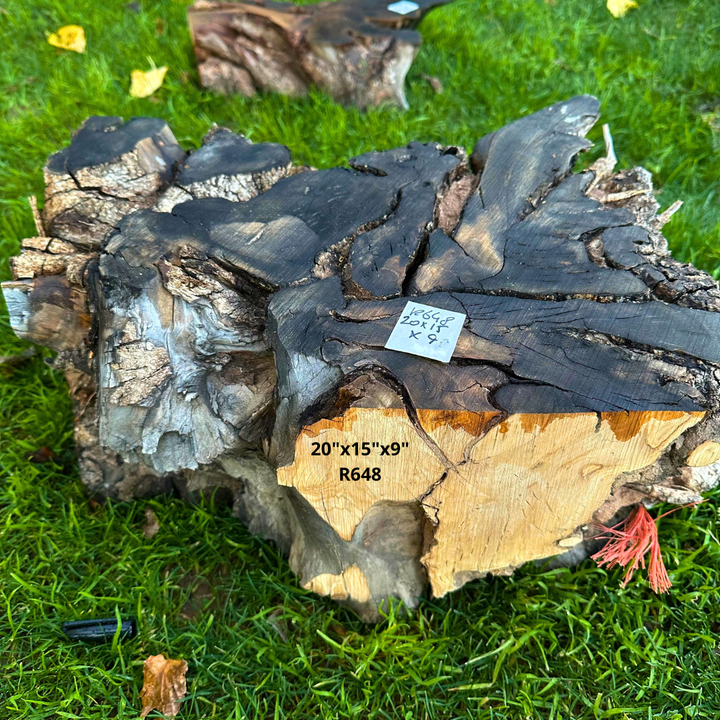 Olive Blank for Turning 20"x15"x9" R648