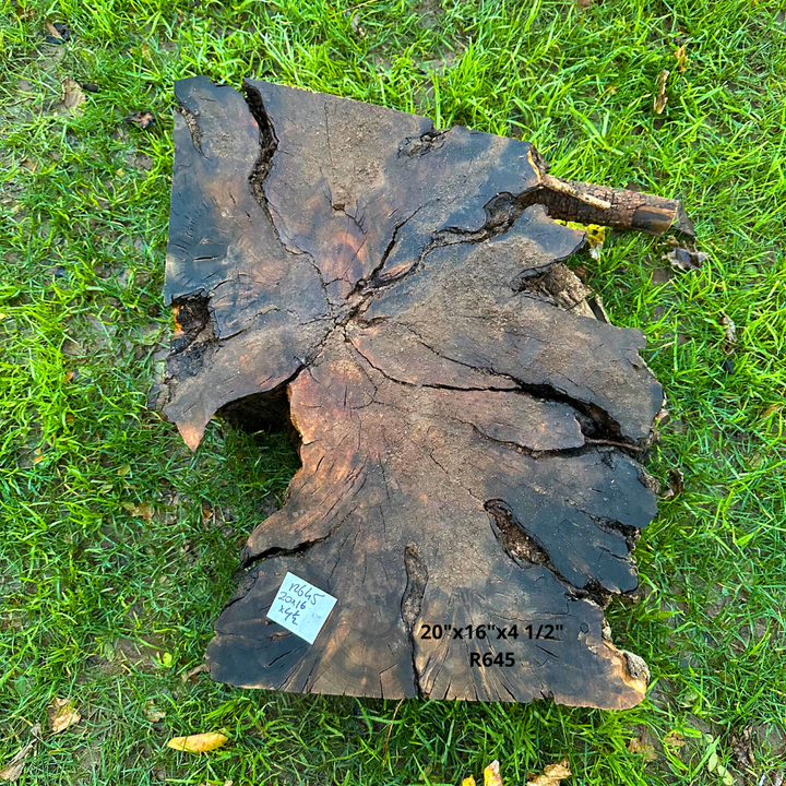 Olive Blank for Turning 20"x16"x4 1/2" R645