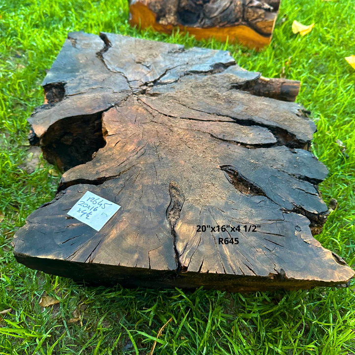 Olive Blank for Turning 20"x16"x4 1/2" R645