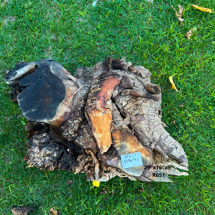 Olive Blank for Turning 19"x16"x9" R651