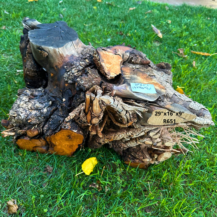 Olive Blank for Turning 19"x16"x9" R651