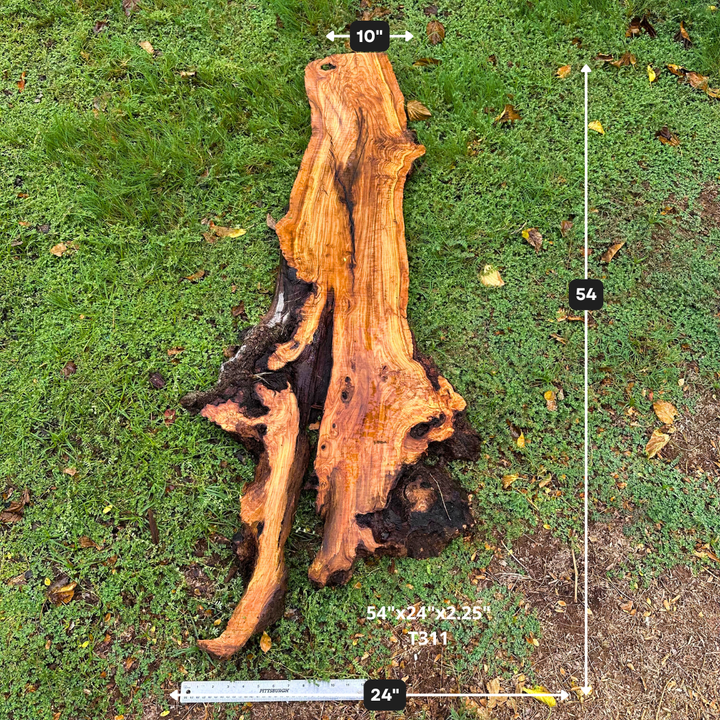 54"x24"x2.25" T311