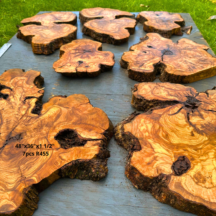 7 Olive Wood Cookies 48"x36"x1 1/2" R455