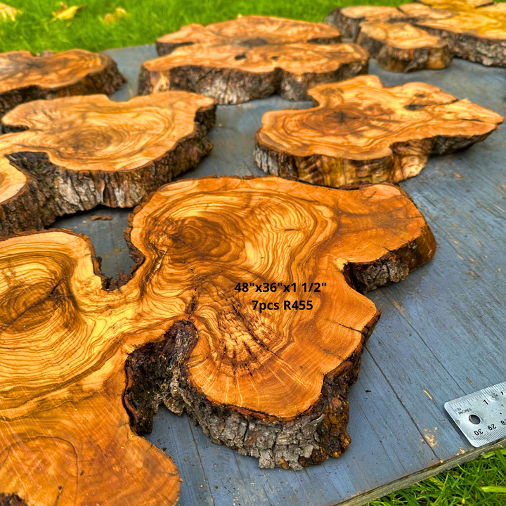 7 Olive Wood Cookies 48"x36"x1 1/2" R455