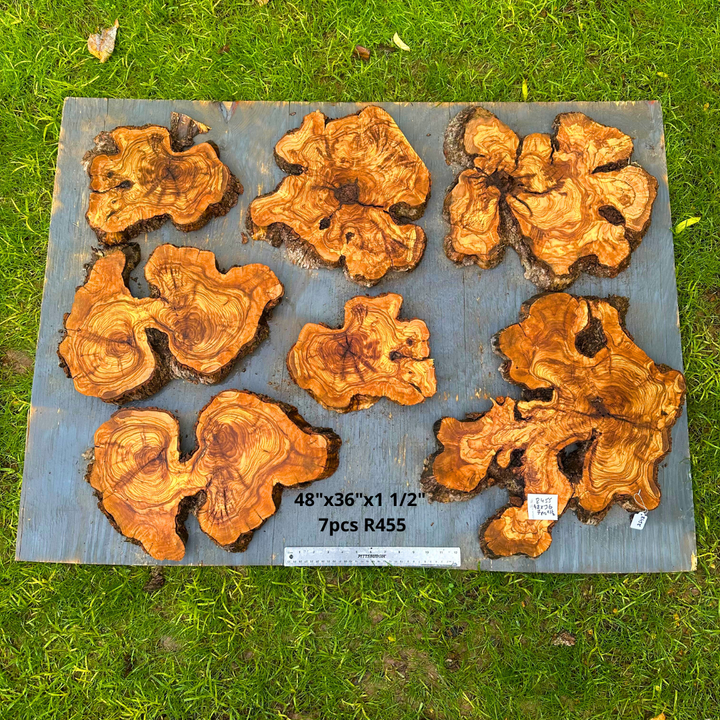 7 Olive Wood Cookies 48"x36"x1 1/2" R455
