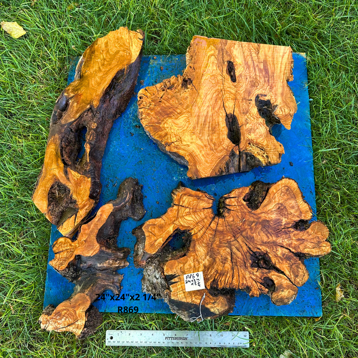 Sets of Live Edge Olive Wood Cookies